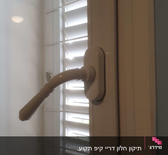 תריסים לבנים עם ידית פתיחה בצד ימין